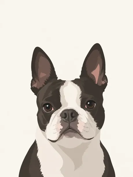 Style Illustration